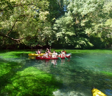 Parcourir la Sorgue